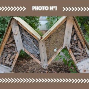 Capture d'écran 2026-04-01 234343